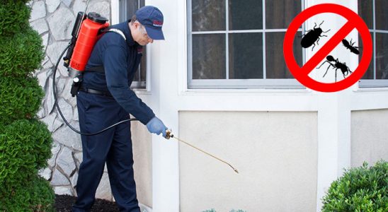 Başmakçı Böcek İlaçlama böcek ilaçlama ve haşere kontrolü — ilaclama-tr.com